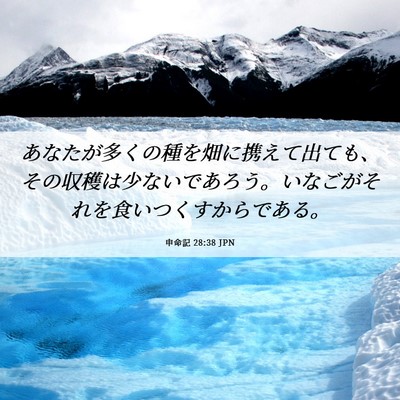 Picture 06 - 申命記 28:38 JPN - あなたが多くの種を畑に携えて出て - Bible Verse Picture