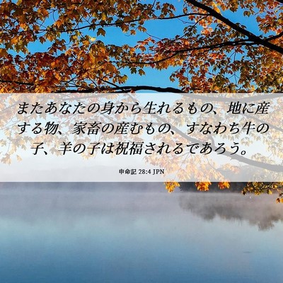 Picture 06 - 申命記 28:4 JPN - またあなたの身から生れるもの、地 - Bible Verse Picture