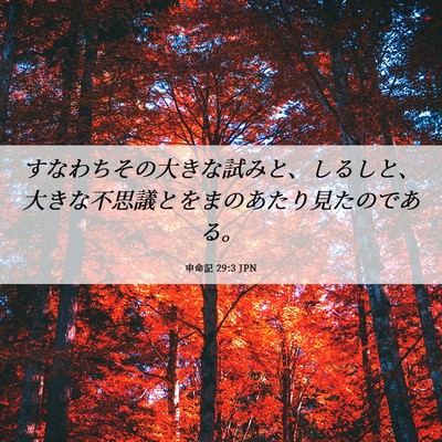 Picture 06 - 申命記 29:3 JPN - すなわちその大きな試みと、しるし - Bible Verse Picture