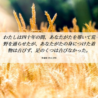 Picture 06 - 申命記 29:5 JPN - わたしは四十年の間、あなたがたを - Bible Verse Picture