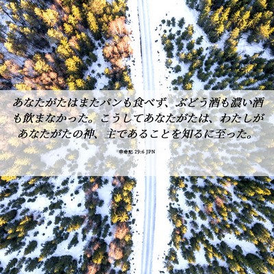 Picture 06 - 申命記 29:6 JPN - あなたがたはまたパンも食べず、ぶ - Bible Verse Picture