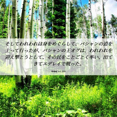 Picture 06 - 申命記 3:1 JPN - そしてわれわれは身をめぐらして、 - Bible Verse Picture