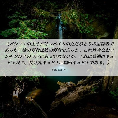 Picture 06 - 申命記 3:11 JPN - （バシャンの王オグはレパイムのた - Bible Verse Picture