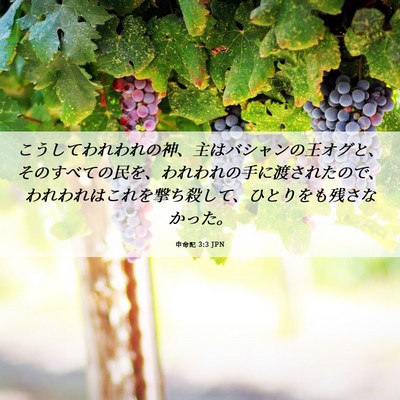 Picture 06 - 申命記 3:3 JPN - こうしてわれわれの神、主はバシャ - Bible Verse Picture