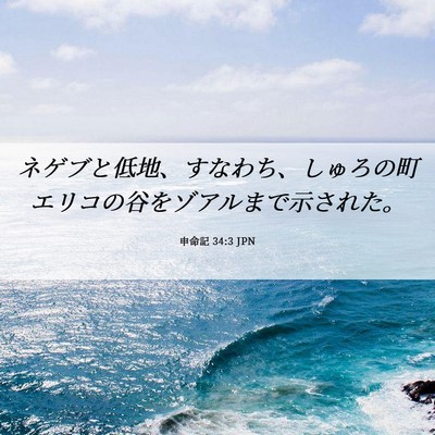 Picture 06 - 申命記 34:3 JPN - ネゲブと低地、すなわち、しゅろの - Bible Verse Picture