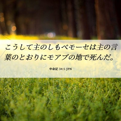 Picture 06 - 申命記 34:5 JPN - こうして主のしもべモーセは主の言 - Bible Verse Picture