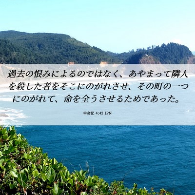 Picture 06 - 申命記 4:42 JPN - 過去の恨みによるのではなく、あや - Bible Verse Picture