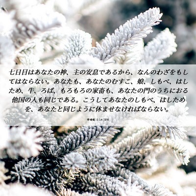 Picture 06 - 申命記 5:14 JPN - 七日目はあなたの神、主の安息であ - Bible Verse Picture