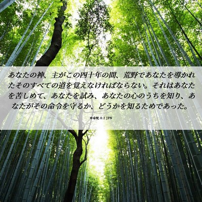 Picture 06 - 申命記 8:2 JPN - あなたの神、主がこの四十年の間、 - Bible Verse Picture