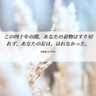 Picture 06 - 申命記 8:4 JPN - この四十年の間、あなたの着物はす - Bible Verse Picture