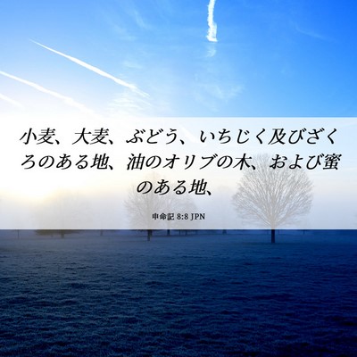 Picture 06 - 申命記 8:8 JPN - 小麦、大麦、ぶどう、いちじく及び - Bible Verse Picture