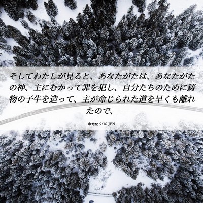 Picture 06 - 申命記 9:16 JPN - そしてわたしが見ると、あなたがた - Bible Verse Picture