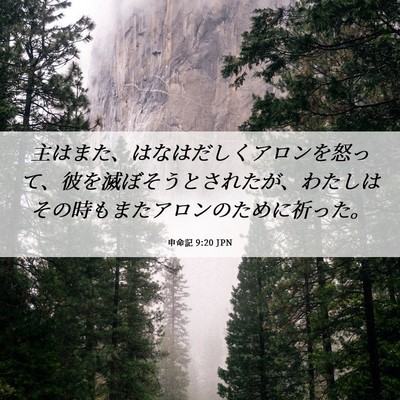 Picture 06 - 申命記 9:20 JPN - 主はまた、はなはだしくアロンを怒 - Bible Verse Picture