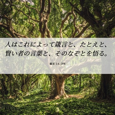 Picture 06 - 箴言 1:6 JPN - 人はこれによって箴言と、たとえと - Bible Verse Picture