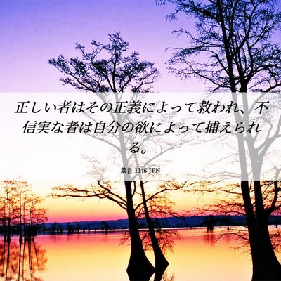 Picture 06 - 箴言 11:6 JPN - 正しい者はその正義によって救われ - Bible Verse Picture