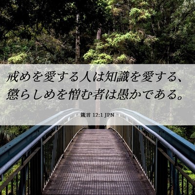 Picture 06 - 箴言 12:1 JPN - 戒めを愛する人は知識を愛する、懲 - Bible Verse Picture