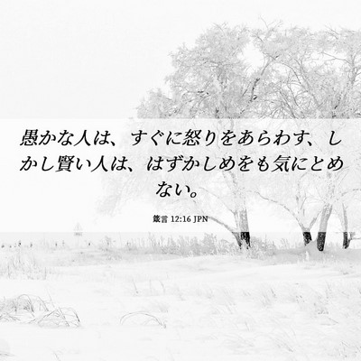 Picture 06 - 箴言 12:16 JPN - 愚かな人は、すぐに怒りをあらわす - Bible Verse Picture