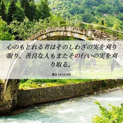 Picture 06 - 箴言 14:14 JPN - 心のもとれる者はそのしわざの実を - Bible Verse Picture