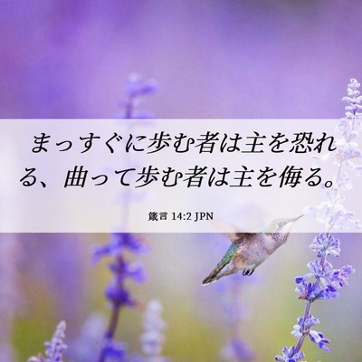 Picture 06 - 箴言 14:2 JPN - まっすぐに歩む者は主を恐れる、曲 - Bible Verse Picture