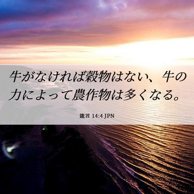 Picture 06 - 箴言 14:4 JPN - 牛がなければ穀物はない、牛の力に - Bible Verse Picture