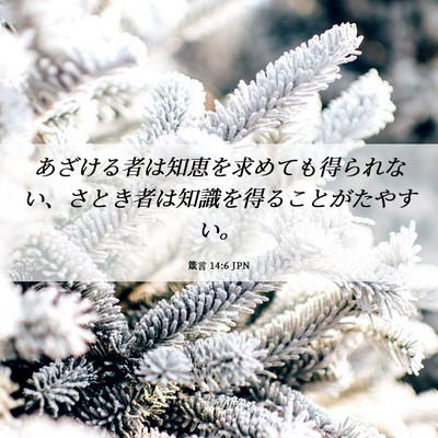 Picture 06 - 箴言 14:6 JPN - あざける者は知恵を求めても得られ - Bible Verse Picture