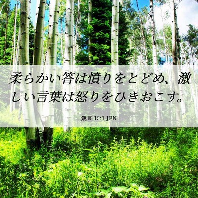 Picture 06 - 箴言 15:1 JPN - 柔らかい答は憤りをとどめ、激しい - Bible Verse Picture