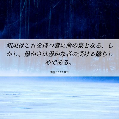 Picture 06 - 箴言 16:22 JPN - 知恵はこれを持つ者に命の泉となる - Bible Verse Picture
