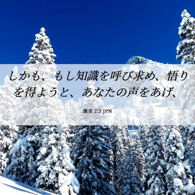Picture 06 - 箴言 2:3 JPN - しかも、もし知識を呼び求め、悟り - Bible Verse Picture