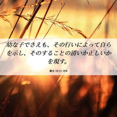 Picture 06 - 箴言 20:11 JPN - 幼な子でさえも、その行いによって - Bible Verse Picture