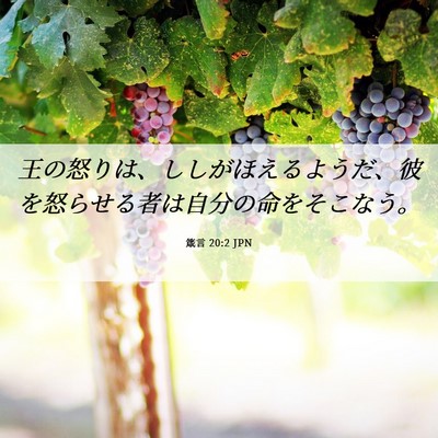 Picture 06 - 箴言 20:2 JPN - 王の怒りは、ししがほえるようだ、 - Bible Verse Picture