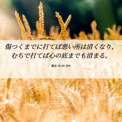 Picture 06 - 箴言 20:30 JPN - 傷つくまでに打てば悪い所は清くな - Bible Verse Picture