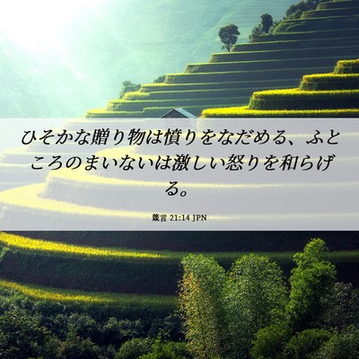 Picture 06 - 箴言 21:14 JPN - ひそかな贈り物は憤りをなだめる、 - Bible Verse Picture