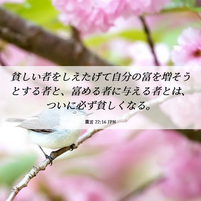 Picture 06 - 箴言 22:16 JPN - 貧しい者をしえたげて自分の富を増 - Bible Verse Picture