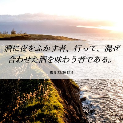Picture 06 - 箴言 23:30 JPN - 酒に夜をふかす者、行って、混ぜ合 - Bible Verse Picture