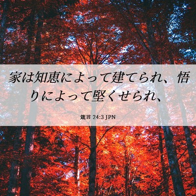 Picture 06 - 箴言 24:3 JPN - 家は知恵によって建てられ、悟りに - Bible Verse Picture