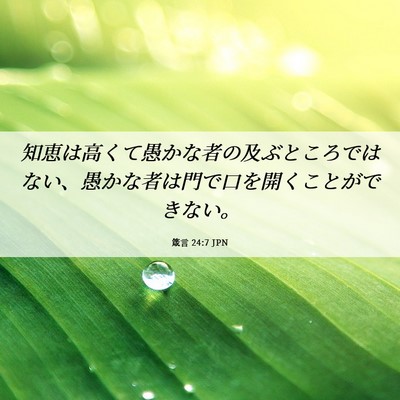 Picture 06 - 箴言 24:7 JPN - 知恵は高くて愚かな者の及ぶところ - Bible Verse Picture