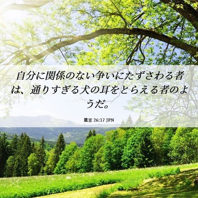 Picture 06 - 箴言 26:17 JPN - 自分に関係のない争いにたずさわる - Bible Verse Picture