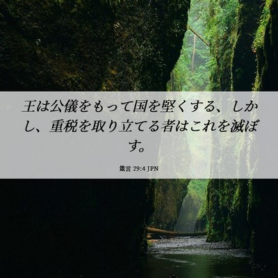 Picture 06 - 箴言 29:4 JPN - 王は公儀をもって国を堅くする、し - Bible Verse Picture