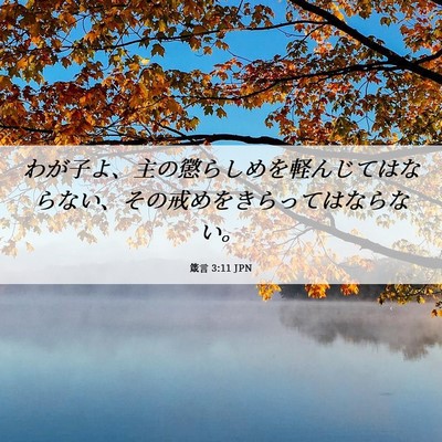 Picture 06 - 箴言 3:11 JPN - わが子よ、主の懲らしめを軽んじて - Bible Verse Picture