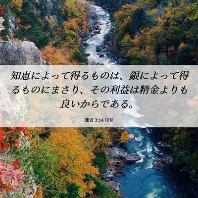 Picture 06 - 箴言 3:14 JPN - 知恵によって得るものは、銀によっ - Bible Verse Picture