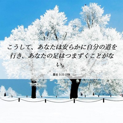 Picture 06 - 箴言 3:23 JPN - こうして、あなたは安らかに自分の - Bible Verse Picture