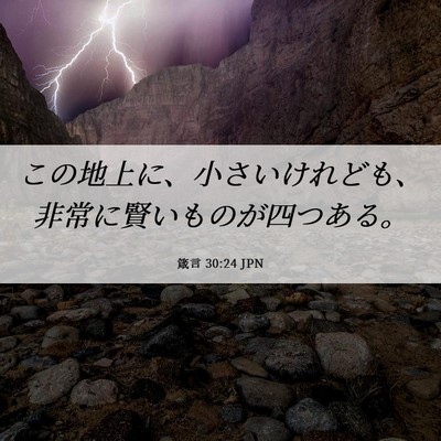 Picture 06 - 箴言 30:24 JPN - この地上に、小さいけれども、非常 - Bible Verse Picture