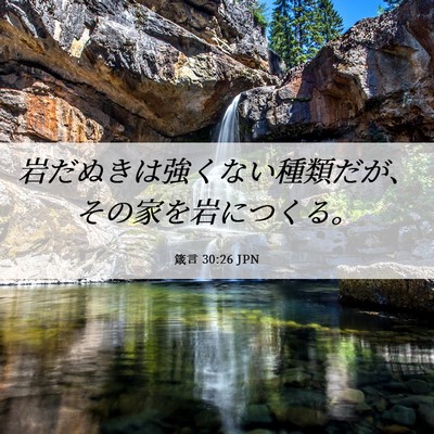 Picture 06 - 箴言 30:26 JPN - 岩だぬきは強くない種類だが、その - Bible Verse Picture