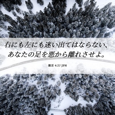 Picture 06 - 箴言 4:27 JPN - 右にも左にも迷い出てはならない、 - Bible Verse Picture
