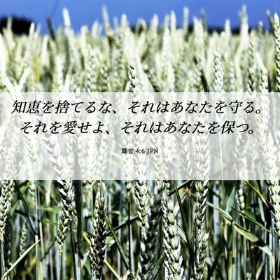 Picture 06 - 箴言 4:6 JPN - 知恵を捨てるな、それはあなたを守 - Bible Verse Picture