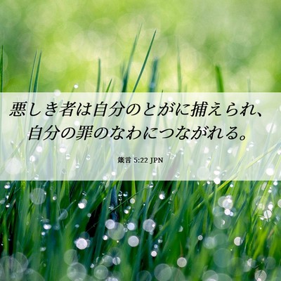 Picture 06 - 箴言 5:22 JPN - 悪しき者は自分のとがに捕えられ、 - Bible Verse Picture