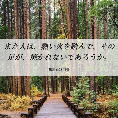 Picture 06 - 箴言 6:28 JPN - また人は、熱い火を踏んで、その足 - Bible Verse Picture