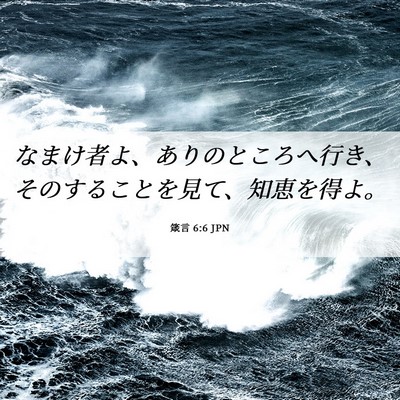 Picture 06 - 箴言 6:6 JPN - なまけ者よ、ありのところへ行き、 - Bible Verse Picture