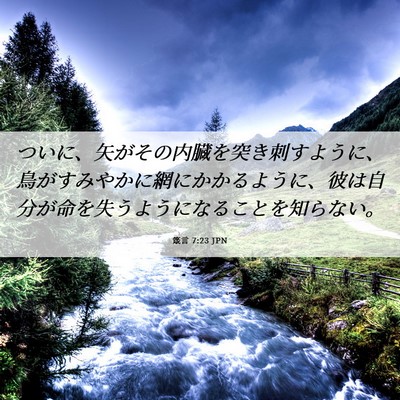 Picture 06 - 箴言 7:23 JPN - ついに、矢がその内臓を突き刺すよ - Bible Verse Picture