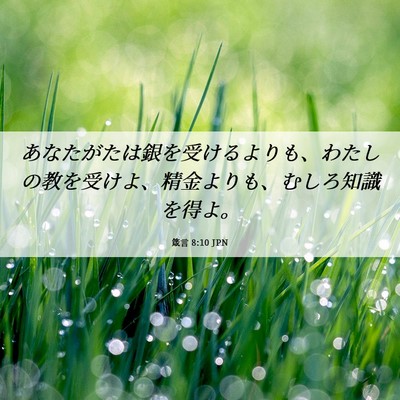 Picture 06 - 箴言 8:10 JPN - あなたがたは銀を受けるよりも、わ - Bible Verse Picture